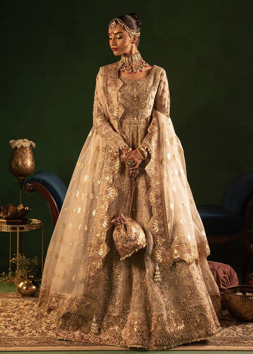 Diara Couture | Onora Wedding Festive | BELLA - WC-2-02 -  Diara Couture Ladies Clothes - Original Designer Dress - House of Maryam
