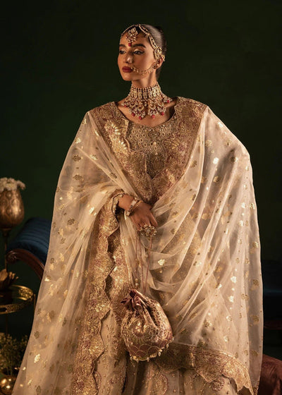 Diara Couture | Onora Wedding Festive | BELLA - WC-2-02 -  Diara Couture Ladies Clothes - Original Designer Dress - House of Maryam