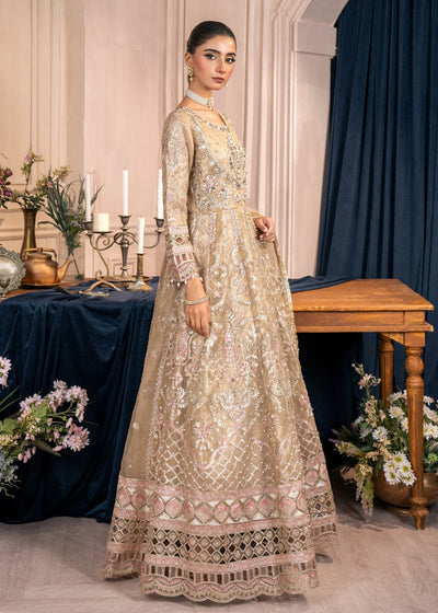 Diara Couture | Tabeer Formals | POMT-01-08
