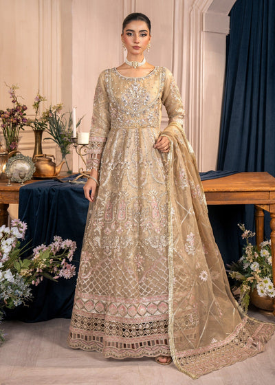 Diara Couture | Tabeer Formals | POMT-01-08