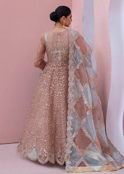 Diara Couture | Tabeer Formals | SHAHBANU - DF-13
