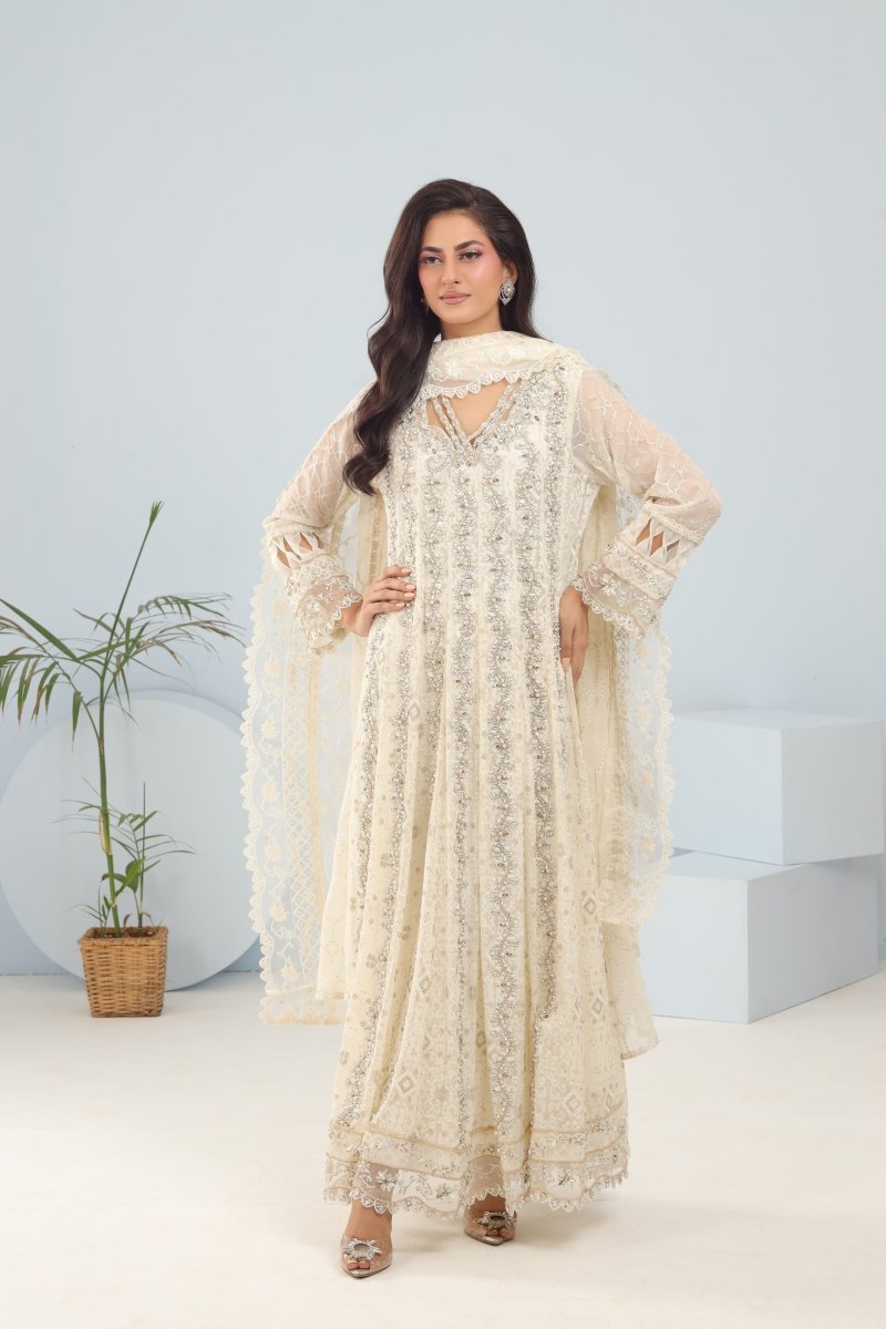 Panache | Pret | Diamond Dreams -  Panache By Mona clothing - Original Designer Dress - House of Maryam