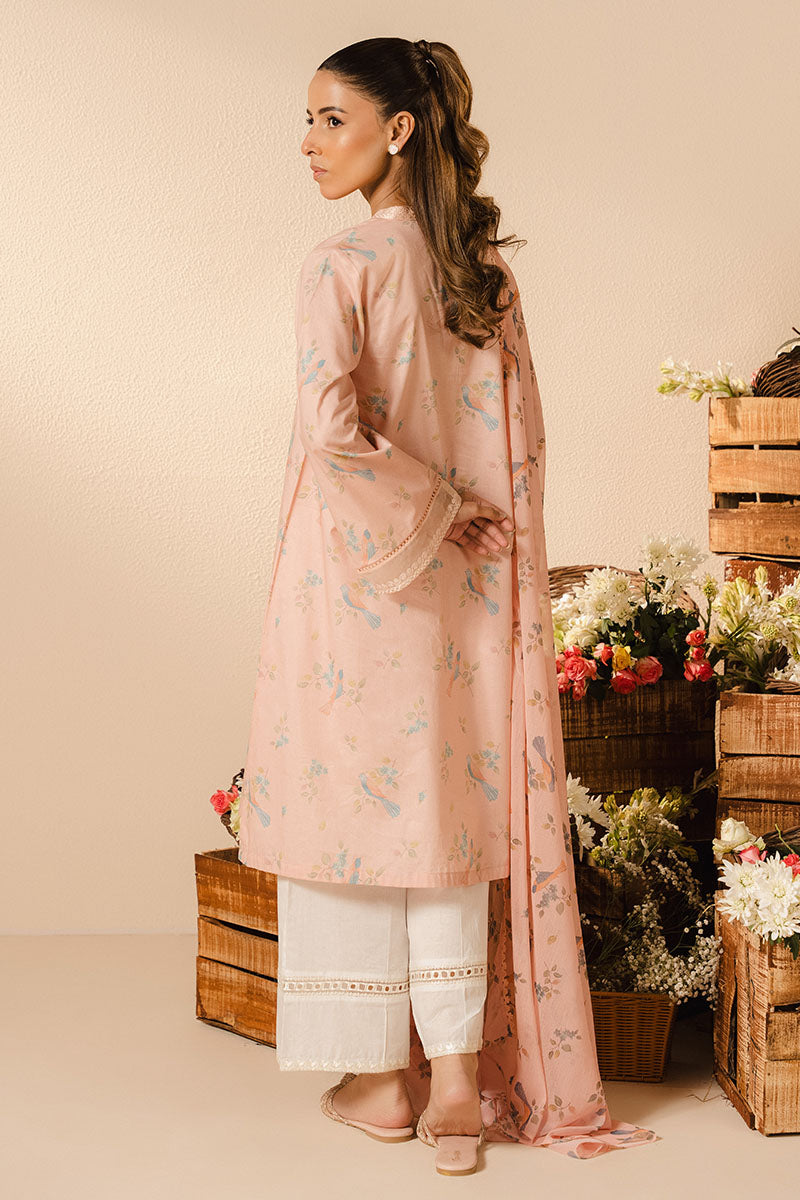 Cross Stitch | Basic Pret | Blush Dew-2PC (Shirt & Dupatta)-4