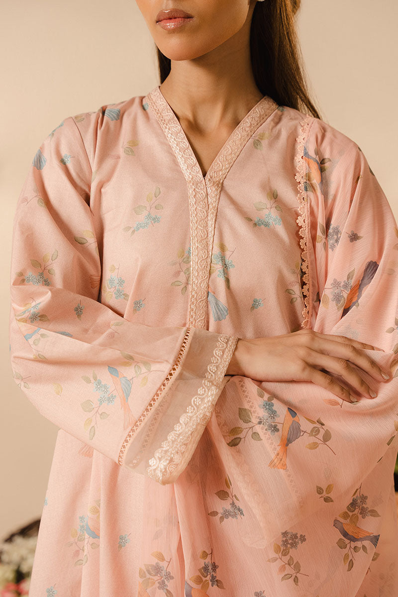 Cross Stitch | Basic Pret | Blush Dew-2PC (Shirt & Dupatta), image 3