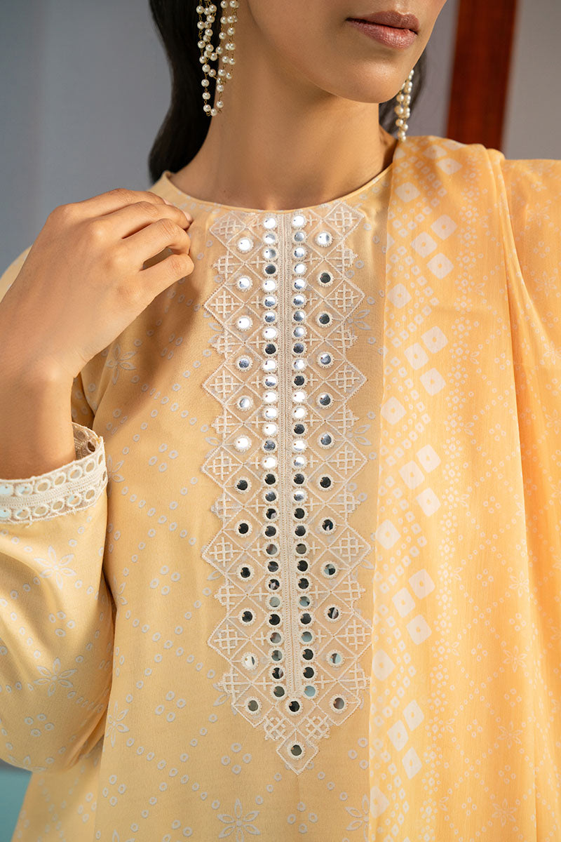 Cross Stitch | Basic Pret | Iris Lime-2PC (Shirt & Dupatta)-2