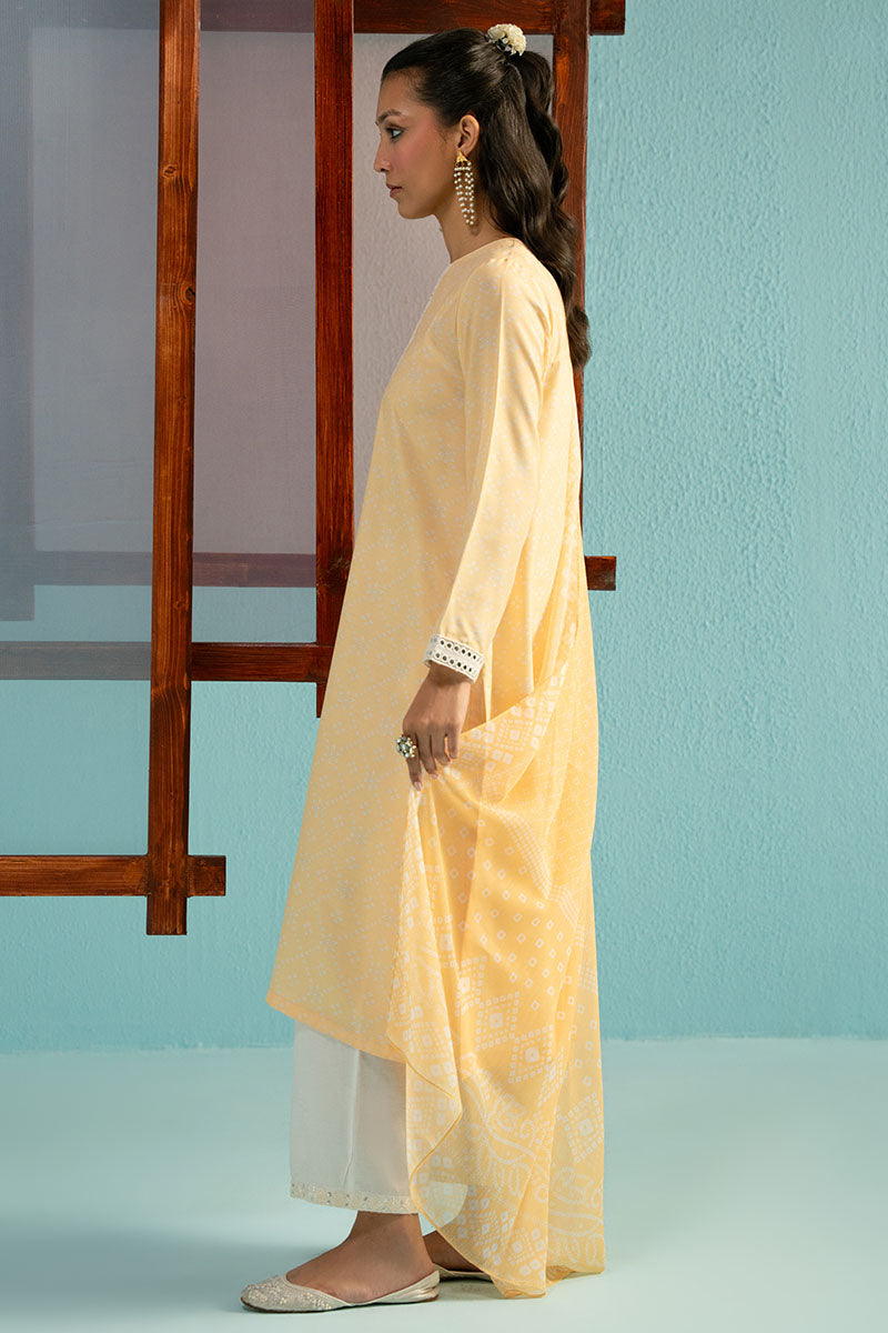 Cross Stitch | Basic Pret | Iris Lime-2PC (Shirt & Dupatta)-4