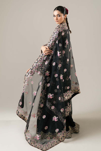 Enzo | Etoile Filante | Claire De Lune-Brand:Enzo-Type: - House of Maryam- Buy in UK, USA
