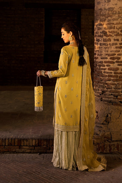 Erum Khan | Shezadian Luxe Formals | DIL ARAA -  Erum Khan Formal - Original Designer Dress - House of Maryam