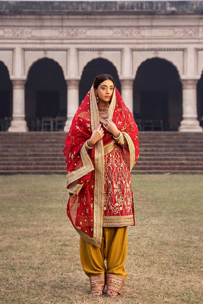 Erum Khan | Shezadian Luxe Formals | CHAND BAI -  Erum Khan Formal - Original Designer Dress - House of Maryam