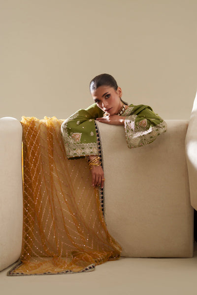 Ethnc | Luxe Boutique | Embroidered Suit (E1065/104/122)-Brand:Ethnc-Type:Boutique-Green - House of Maryam- Buy in UK, USA