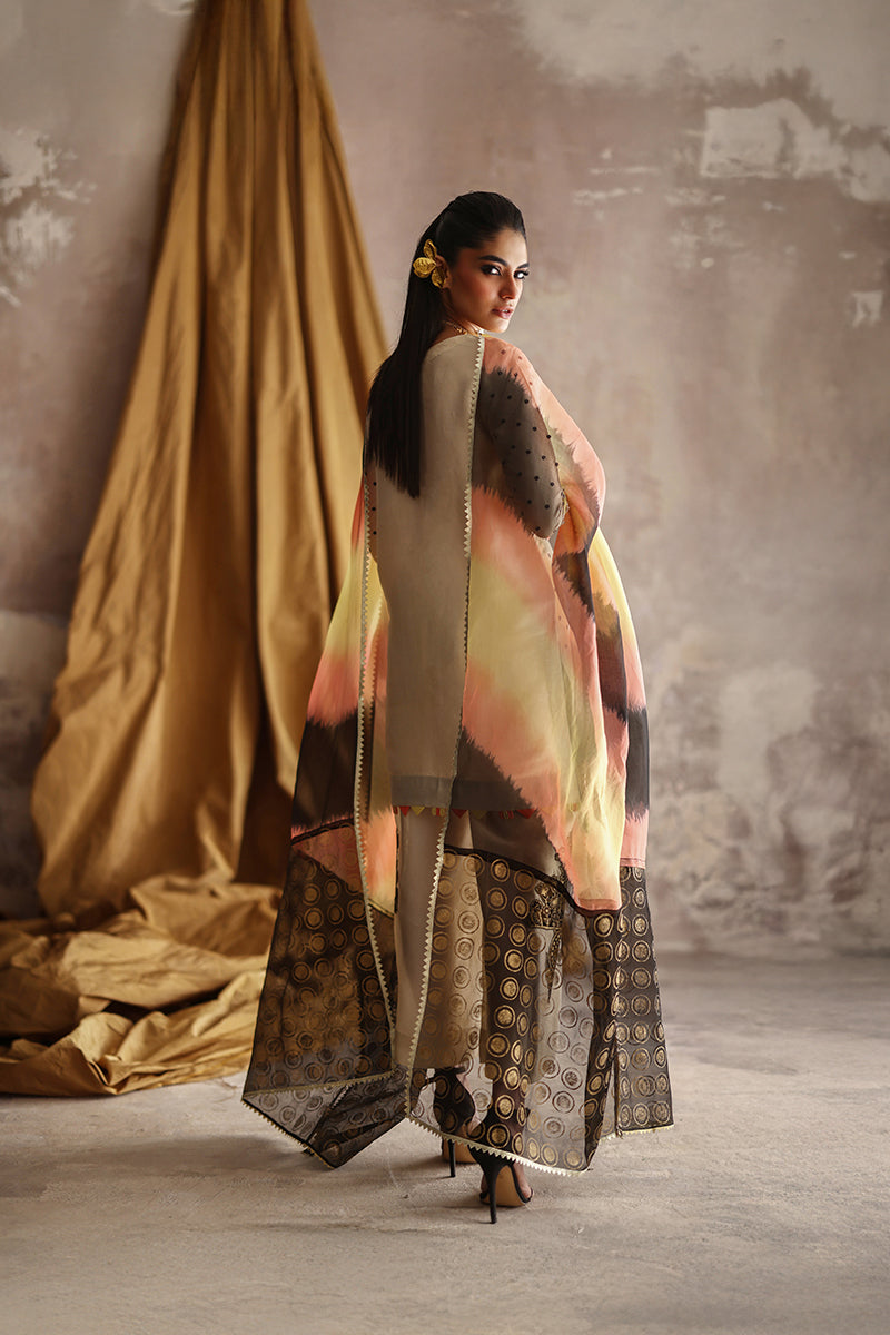 Wardha Saleem | Layla Formals 25 | Zarrin-2