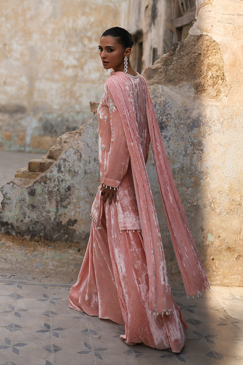 Wardha Saleem | Pure Velvet 25 | Zynia-4