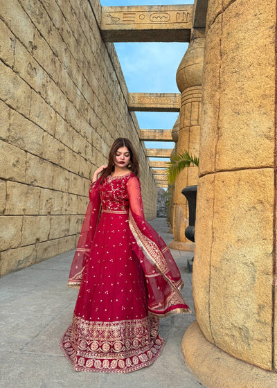 Daud Abbas | Formals Collection | Nazneen -  Daud Abbas Formal - Original Designer Dress - House of Maryam