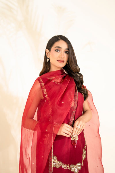 Faiza Faisal | Elara Luxury Pret | ZAR RUBY-Brand:Faiza Faisal-Type:Ladies Clothes-Red-Raw Silk-House of Maryam- Buy in UK, USA