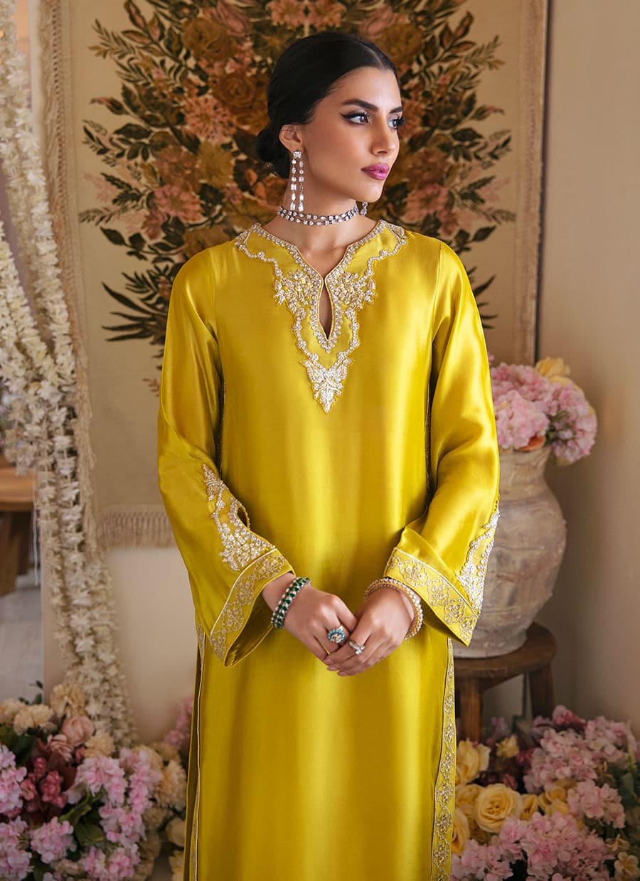 Farah Talib Aziz | Mayna Festive Luxe | Veesta Lime by Designer Farah Talib Aziz - House of Maryam - Pakistani Designer Ethnic Wear in {{ shop.shopifyCountryName }}