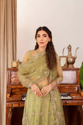 Farasha | Tabeer Wedding Formals 23 | Alaya by Designer Farasha - House of Maryam - Pakistani Designer Ethnic Wear in {{ shop.shopifyCountryName }}