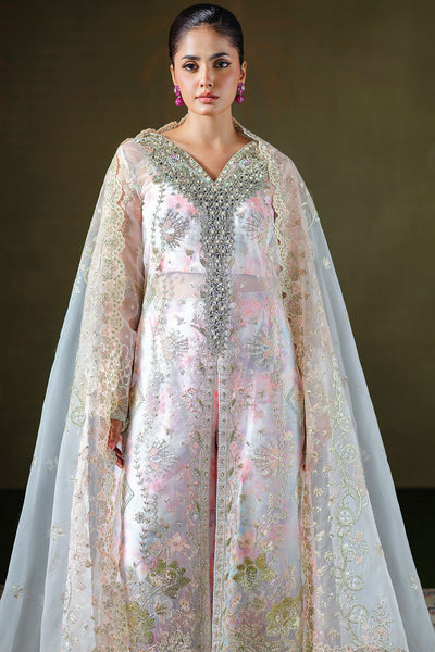 Ramsha | Festive Collection 25 | E-306