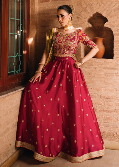 Jeem | Amaltaas Wedding Formals 26 | FUSCHIA ANAYA LEHNGA CHOLI