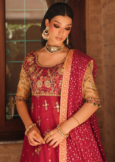 Jeem | Amaltaas Wedding Formals 26 | FUSCHIA NAZ KALIDAR