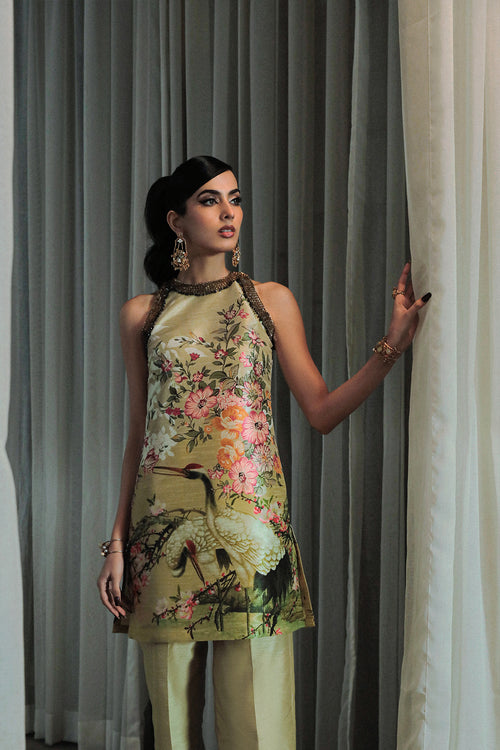Saira Rizwan | Riona Luxury Formals | Lena -  Saira Rizwan Formal - Original Designer Dress - House of Maryam