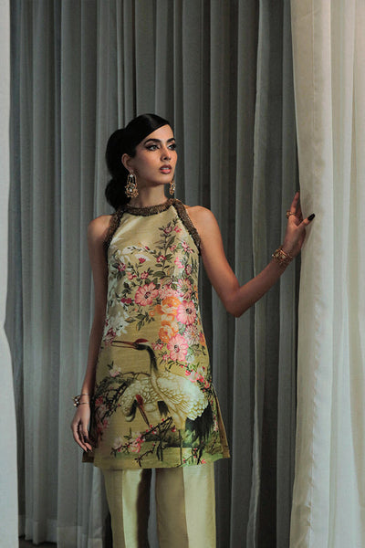 Saira Rizwan | Riona Luxury Formals | Lena -  Saira Rizwan Formal - Original Designer Dress - House of Maryam