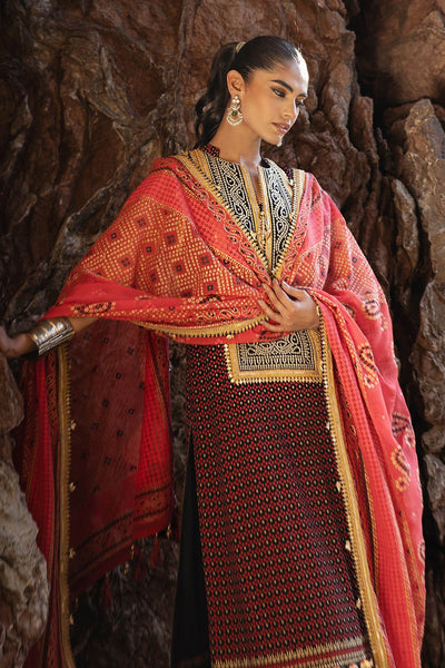 Gul Ahmed | Chunri Lawn 25 | BM-52017 -  Gul Ahmed Ladies Clothes - Original Designer Dress - House of Maryam