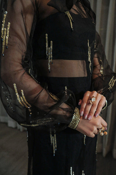 Saira Rizwan | Riona Luxury Formals | Coco  B -  Saira Rizwan Formal - Original Designer Dress - House of Maryam