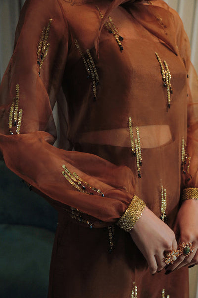 Saira Rizwan | Riona Luxury Formals | Coco  A -  Saira Rizwan Formal - Original Designer Dress - House of Maryam