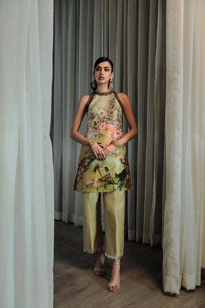 Saira Rizwan | Riona Luxury Formals | Lena -  Saira Rizwan Formal - Original Designer Dress - House of Maryam