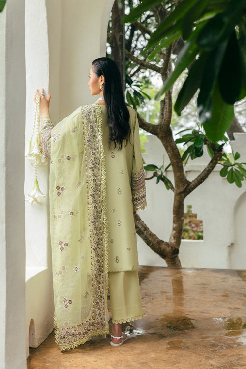 Saira Rizwan | Sajri Festive | ELAN SREP01-25 -  Saira Rizwan Ladies Clothes - Original Designer Dress - House of Maryam