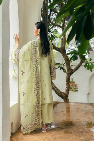 Saira Rizwan | Sajri Festive | ELAN SREP01-25 -  Saira Rizwan Ladies Clothes - Original Designer Dress - House of Maryam
