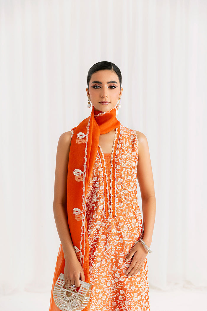 Saira Rizwan | Silk Pret 25 | EIRA, image 4