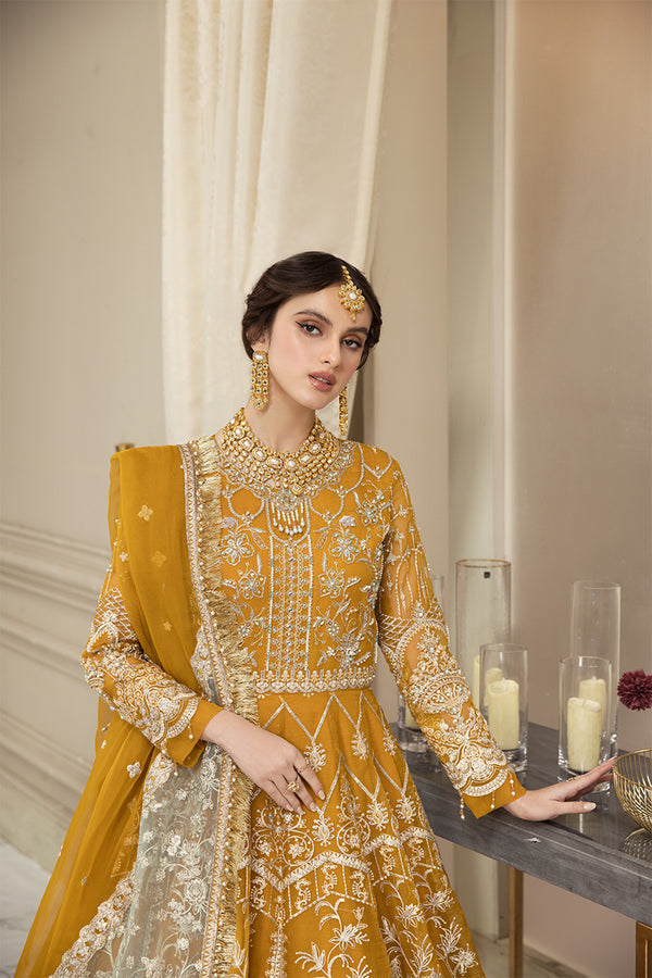 House of Nawab | Luxury Formals | HAZWA B by Designer House of Nawab - House of Maryam - Pakistani Designer Ethnic Wear in {{ shop.shopifyCountryName }}