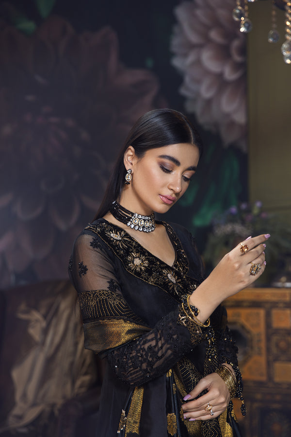 House of Nawab | Luxury Formals | KAAVISH by Designer House of Nawab - House of Maryam - Pakistani Designer Ethnic Wear in {{ shop.shopifyCountryName }}