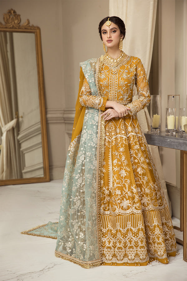 House of Nawab | Luxury Formals | HAZWA B by Designer House of Nawab - House of Maryam - Pakistani Designer Ethnic Wear in {{ shop.shopifyCountryName }}