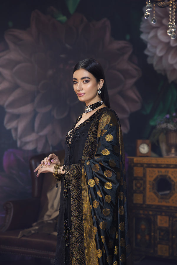 House of Nawab | Luxury Formals | KAAVISH by Designer House of Nawab - House of Maryam - Pakistani Designer Ethnic Wear in {{ shop.shopifyCountryName }}