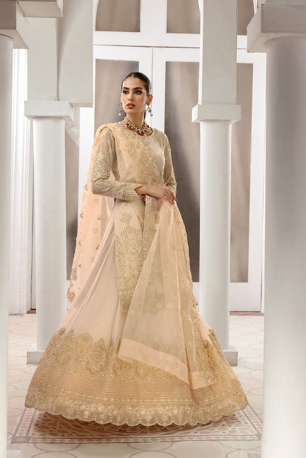 House of Nawab | Luxury Formals | CHANDNI by Designer House of Nawab - House of Maryam - Pakistani Designer Ethnic Wear in {{ shop.shopifyCountryName }}