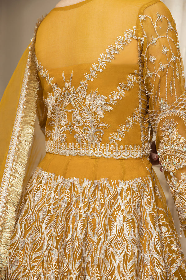 House of Nawab | Luxury Formals | HAZWA B by House of Nawab - House of Maryam