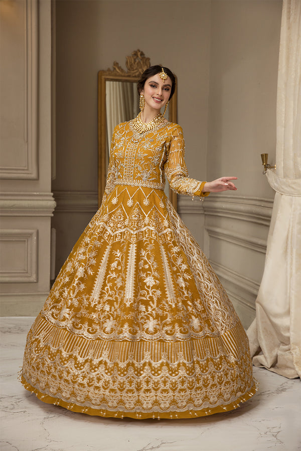 House of Nawab | Luxury Formals | HAZWA B by Designer House of Nawab - House of Maryam - Pakistani Designer Ethnic Wear in {{ shop.shopifyCountryName }}