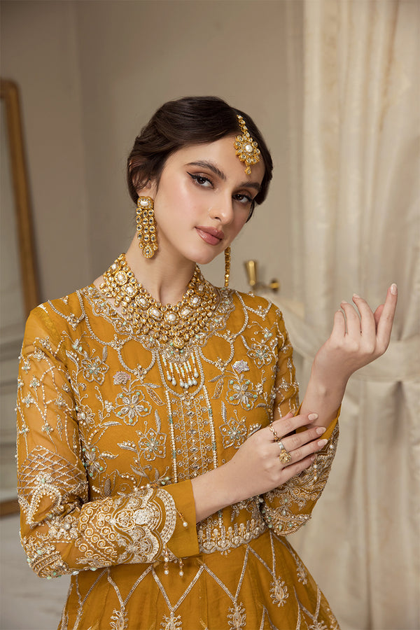 House of Nawab | Luxury Formals | HAZWA B by Designer House of Nawab - House of Maryam - Pakistani Designer Ethnic Wear in {{ shop.shopifyCountryName }}