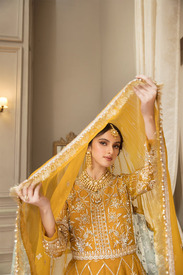 House of Nawab | Luxury Formals | HAZWA B by Designer House of Nawab - House of Maryam - Pakistani Designer Ethnic Wear in {{ shop.shopifyCountryName }}