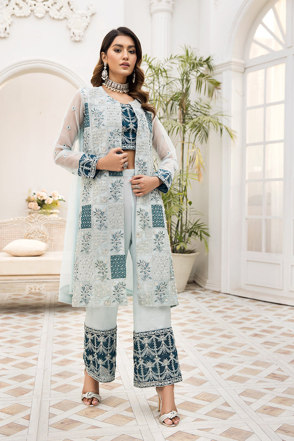 House of Nawab | Luxury Formals | TAMUDAR B by Designer House of Nawa - House of Maryam - Pakistani Designer Ethnic Wear in {{ shop.shopifyCountryName }}