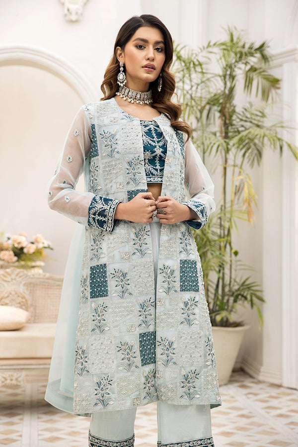 House of Nawab | Luxury Formals | TAMUDAR B by Designer House of Nawa - House of Maryam - Pakistani Designer Ethnic Wear in {{ shop.shopifyCountryName }}