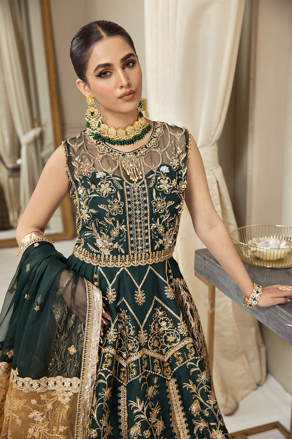 House of Nawab | Luxury Formals | HAZWA A by Designer House of Nawab - House of Maryam - Pakistani Designer Ethnic Wear in {{ shop.shopifyCountryName }}