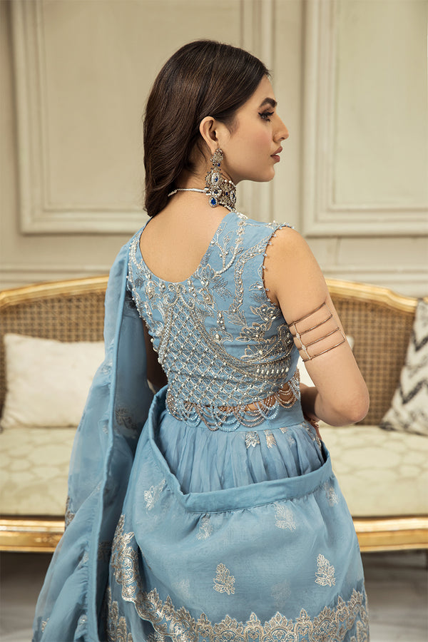 House of Nawab | Luxury Formals | SHIFA B by Designer House of Nawab - House of Maryam - Pakistani Designer Ethnic Wear in {{ shop.shopifyCountryName }}