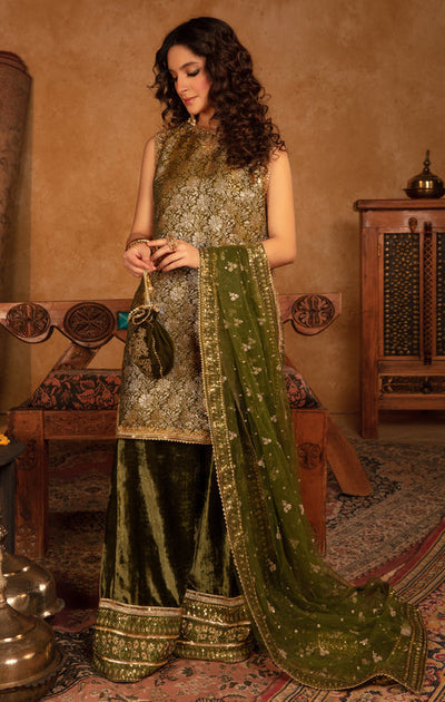 Maya | Raazi Velvet 24 | GULZAR -  Maya Ladies Clothes - Original Designer Dress - House of Maryam