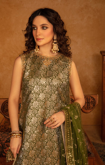 Maya | Raazi Velvet 24 | GULZAR -  Maya Ladies Clothes - Original Designer Dress - House of Maryam