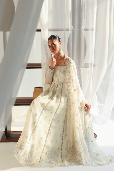 Qalamkar | Chiffon 26 | QCC-07 AMERA