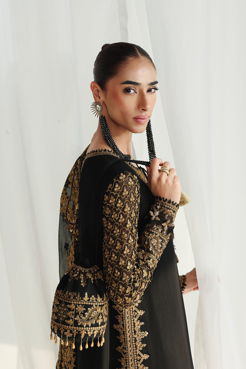 Qalamkar | Chiffon 26 | QCC-06 WALIYA, image 3