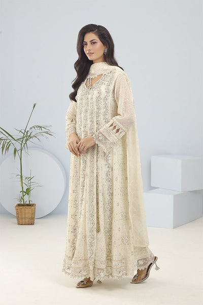 Panache | Pret | Diamond Dreams -  Panache By Mona clothing - Original Designer Dress - House of Maryam